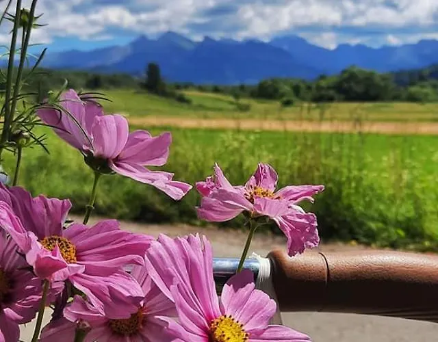 Летний дом U Teresy Чарна-Гура